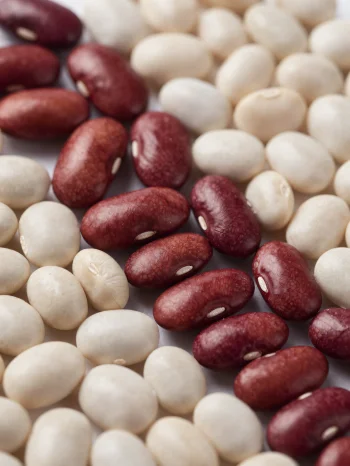 Différents types de haricots secs dans des bols sur table en bois