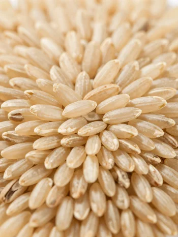 Grains de riz complet cru dans un bol rustique sur comptoir