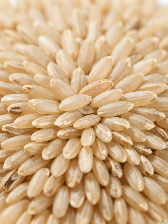 Grains de riz complet cru dans un bol rustique sur comptoir