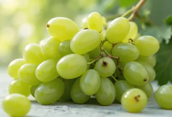 Grappes de raisins verts et rouges sur une table en bois avec du jus